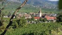 Burkheim vom Burgberg